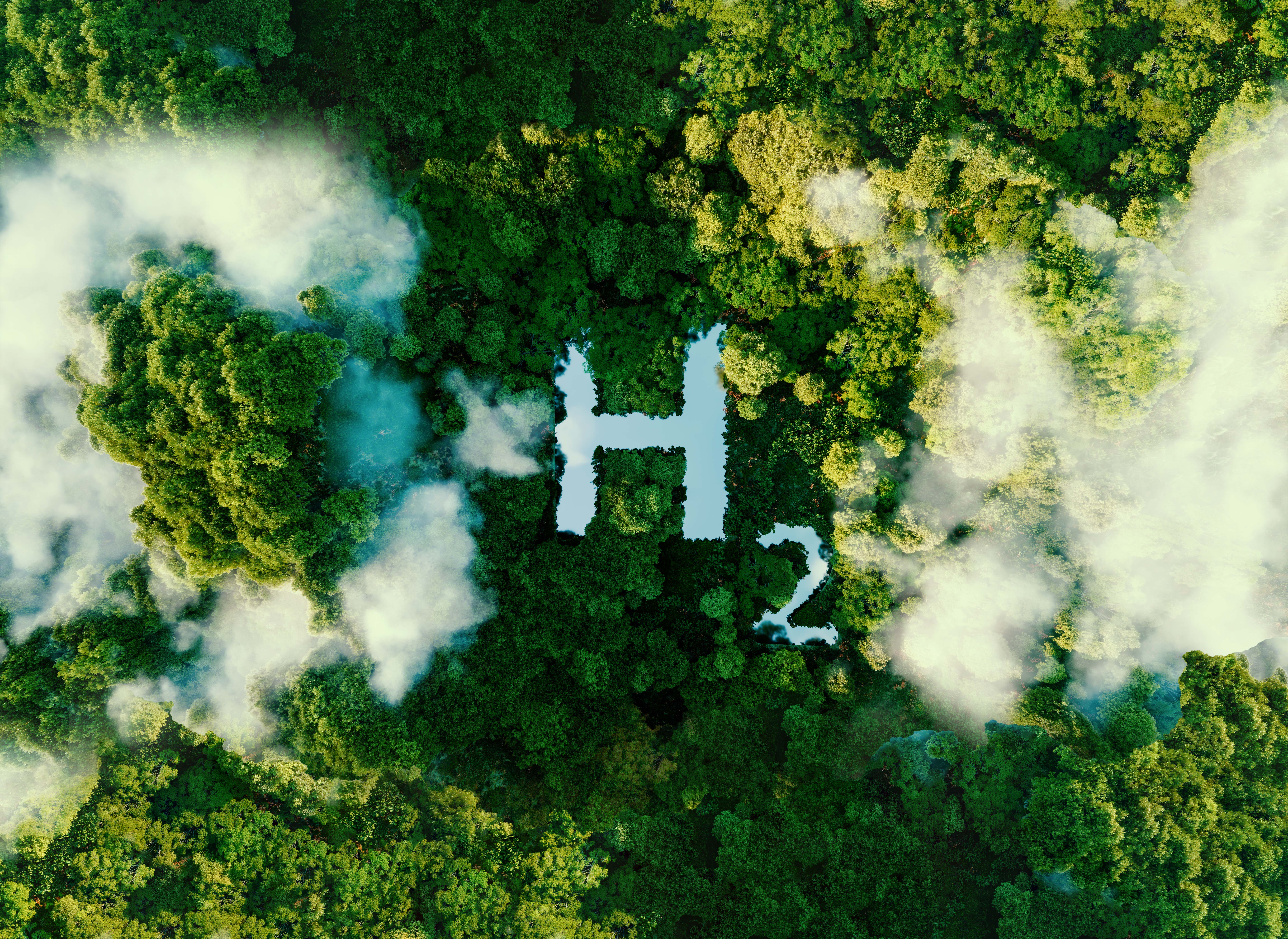 Grüne Gase Wasserstoff MITNETZ GAS